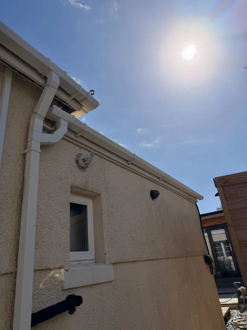 Fascia and roofline cleaning
